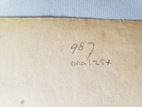 4467.jpg